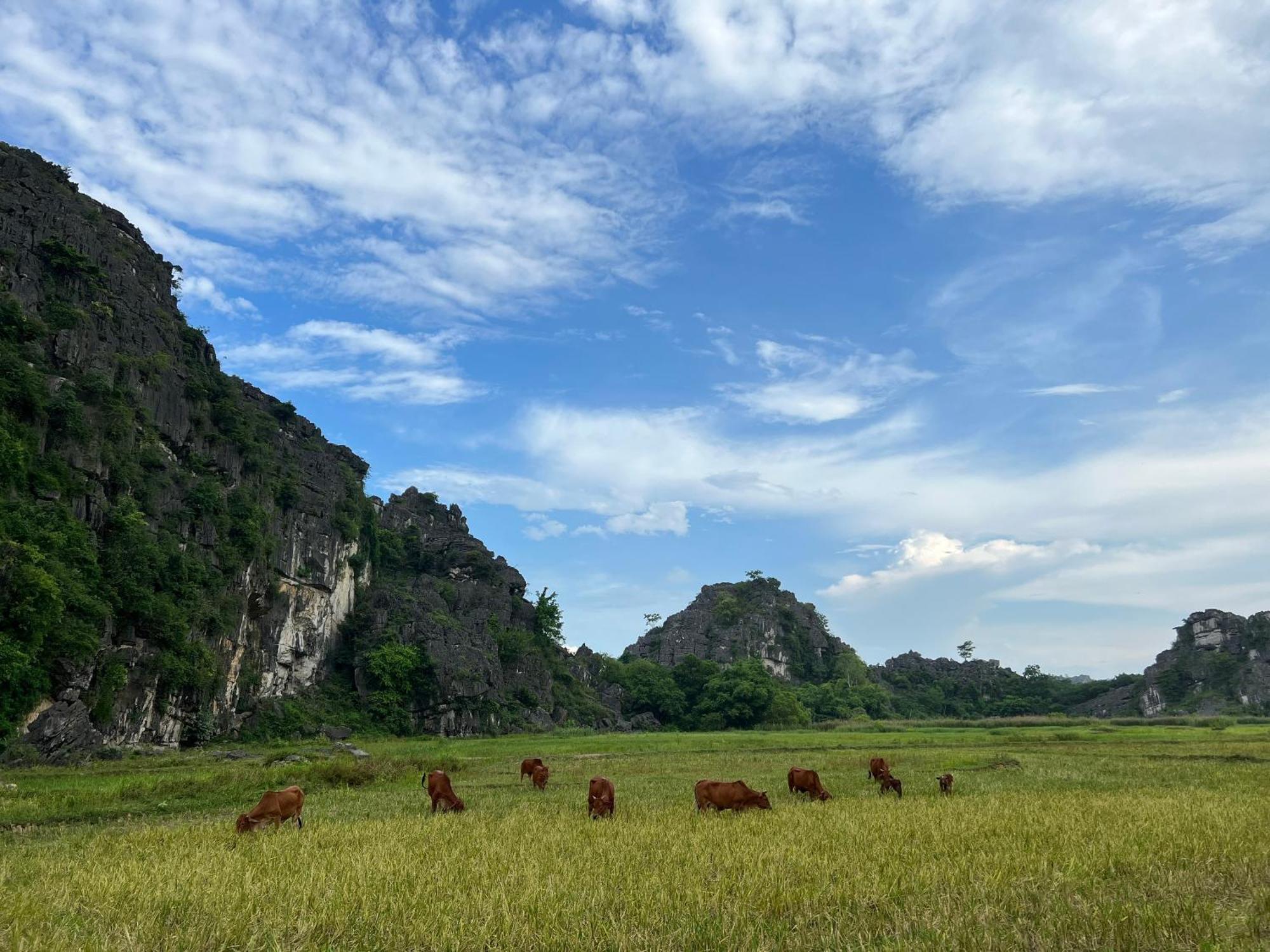 Ninh Binh Family Homestay المظهر الخارجي الصورة