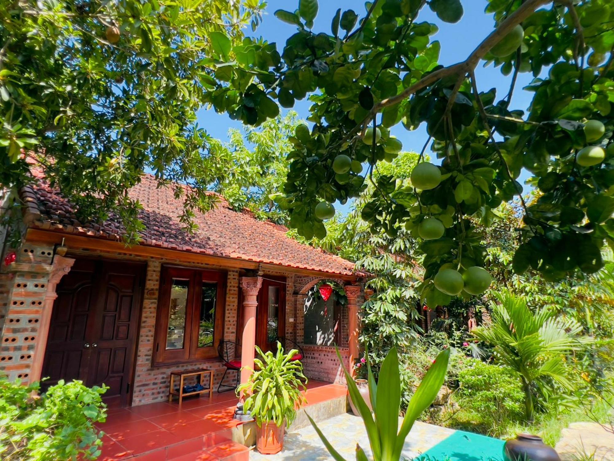 Ninh Binh Family Homestay المظهر الخارجي الصورة